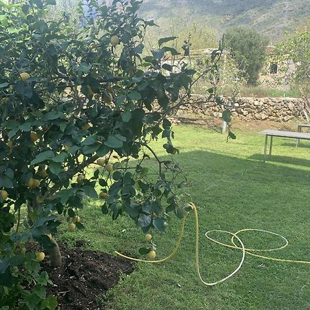 Family Beach Swimming Pool Villa Luanit Trajas Εξωτερικό φωτογραφία