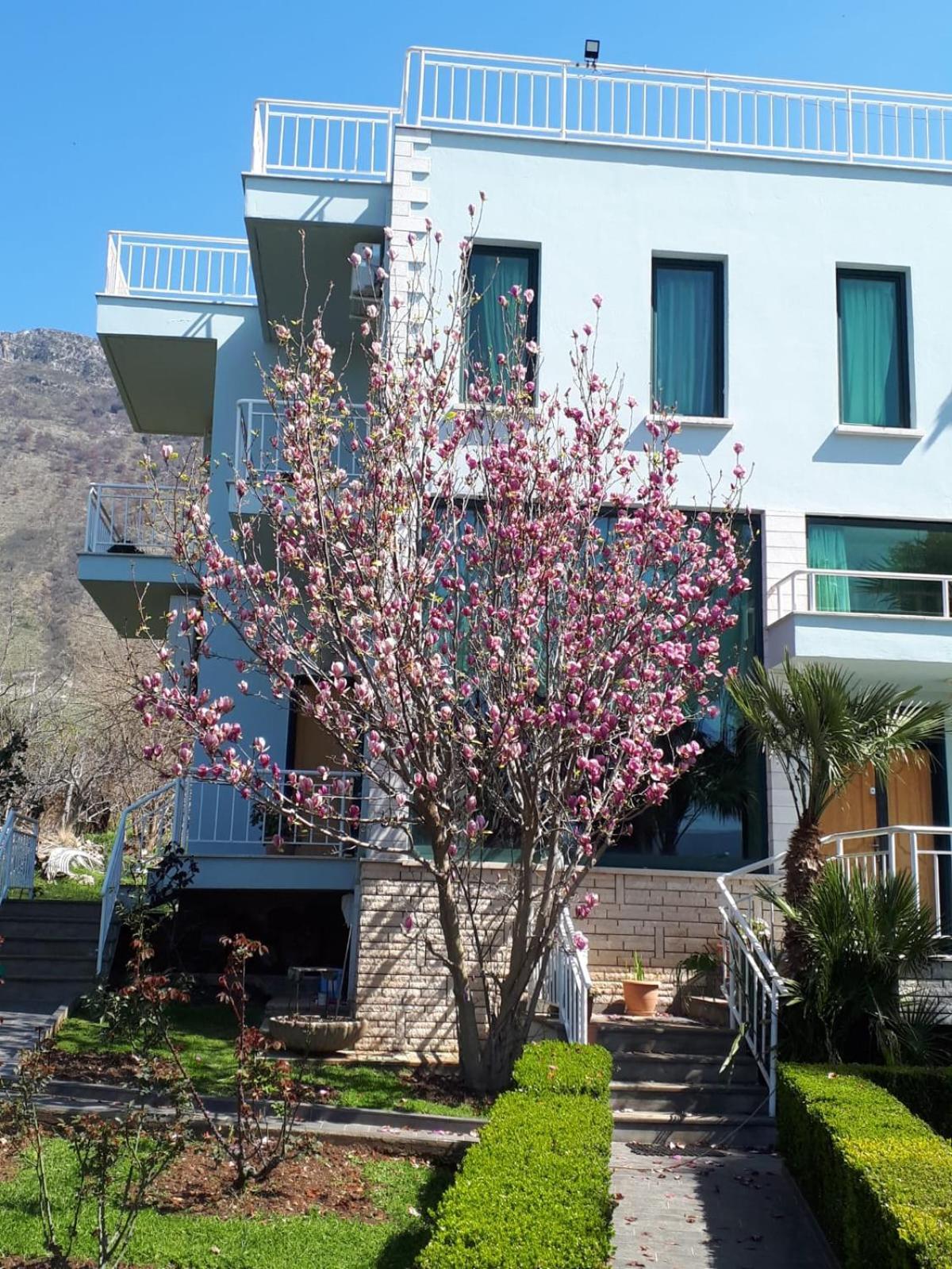 Family Beach Swimming Pool Villa Luanit Trajas Εξωτερικό φωτογραφία