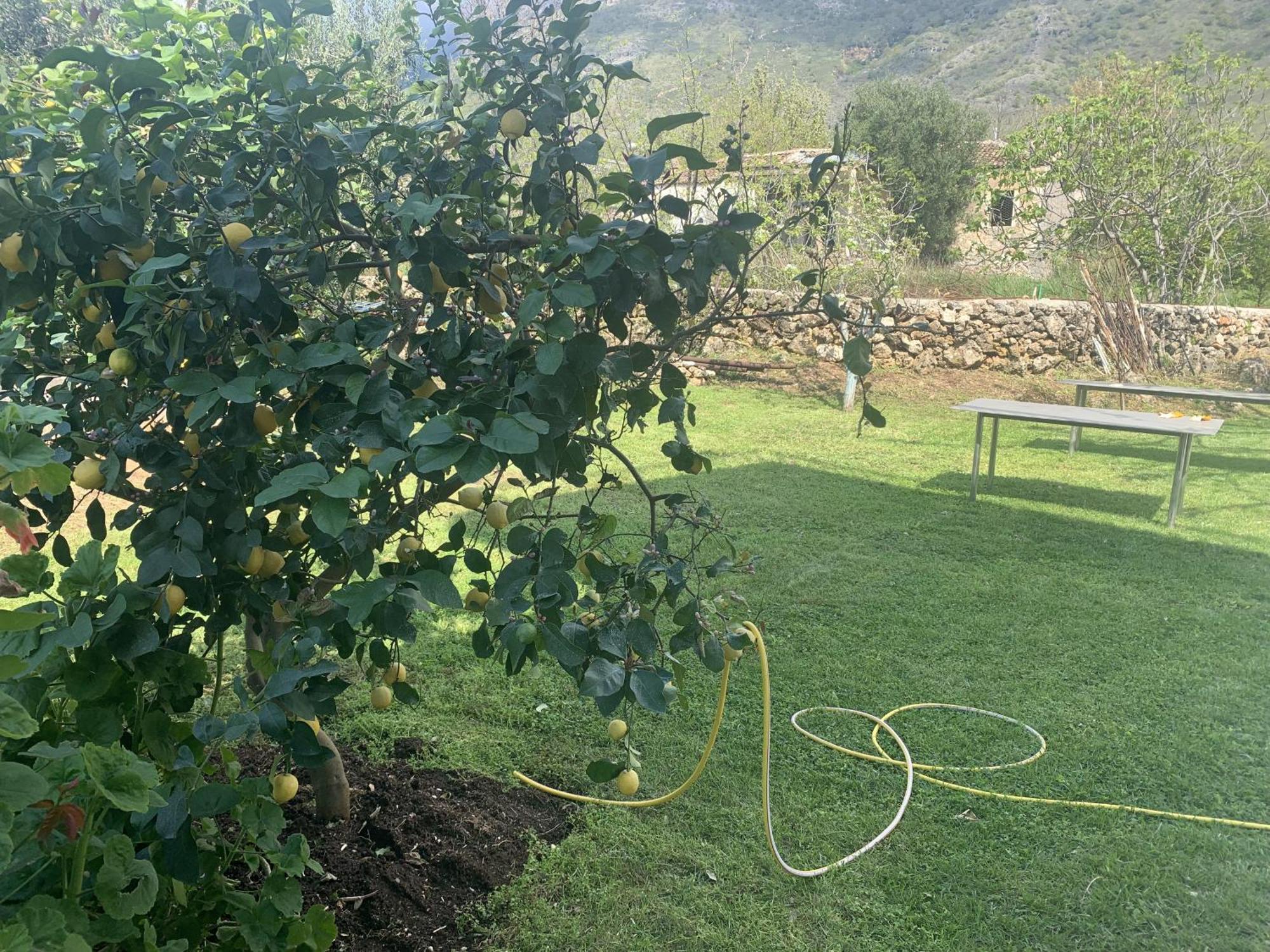 Family Beach Swimming Pool Villa Luanit Trajas Εξωτερικό φωτογραφία